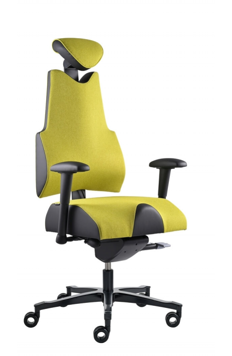 PROWORK zdravotní židle Therapia Body+ Lime HX55/KX99