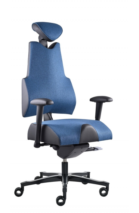 Prowork zdravotní židle Therapia Body+ Cobalt HX58/KX99
