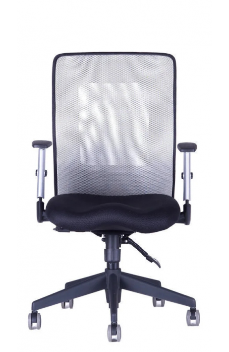 OFFICE PRO kancelářská židle Calypso XL BP šedá 