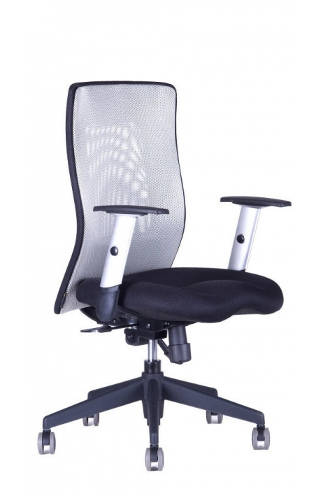 OFFICE PRO kancelářská židle Calypso XL BP 