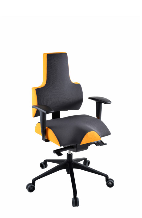 PROWORK kancelářská židle Therapia ENERGY M PRO 2110