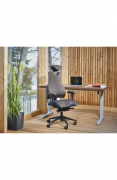 PROWORK kancelářská židle Therapia BODY XL COM 4612