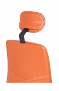 PEŠKA balanční židle Vitalis Balance XL kůže