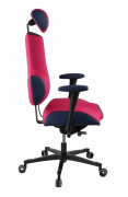 PROWORK zdravotní židle Therapia Sense Flamingo