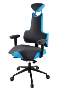PROWORK kancelářská židle Therapia ENERGY XL PRO 4110