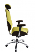 PROWORK kancelářská židle Therapia BODY XL COM
