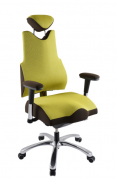 PROWORK kancelářská židle Therapia BODY XL COM