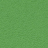 ALBA Kent síť koženka 073 tmavě zelená koženka