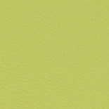 ALBA Kent síť koženka 079 světle zelená koženka