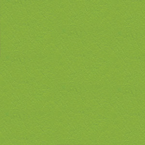 PROFIm Format 20F SL23 zelený polyuretan