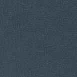 MAYER MyChamp 30 462 aquaclean 30 462 aquaclean